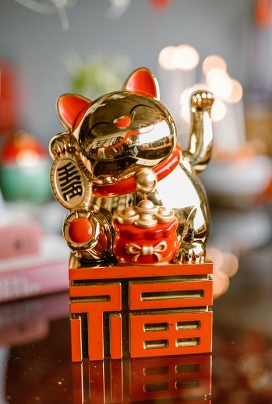 diễn đàn 8Day